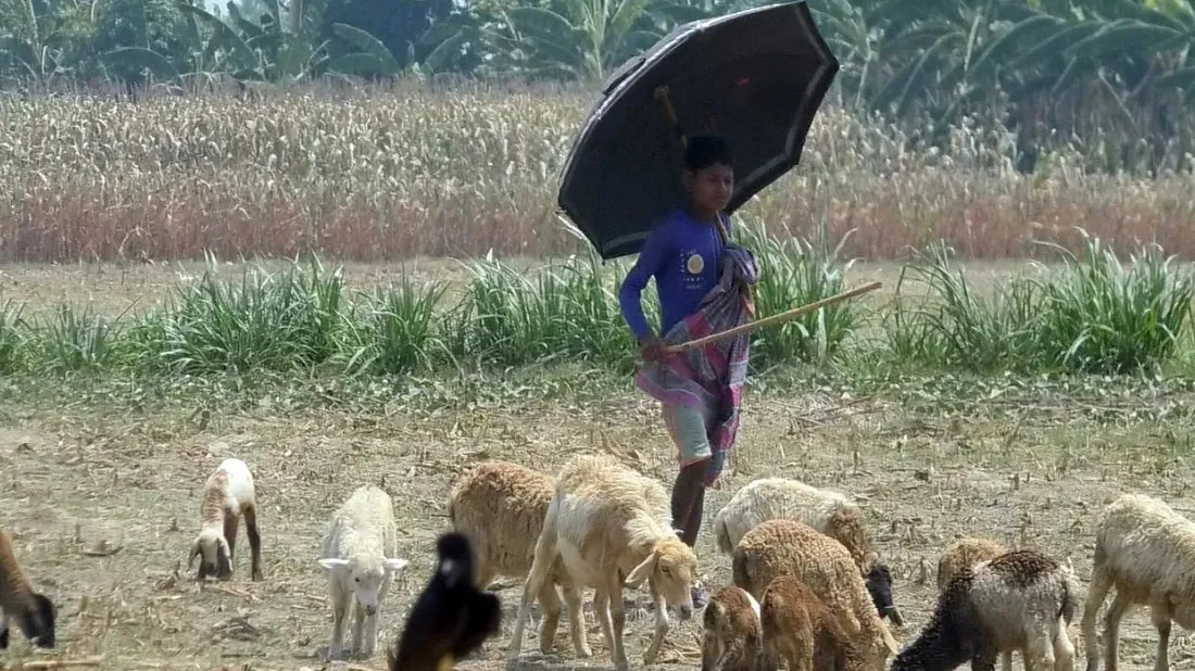 Heatwave bakes parts of Bangladesh