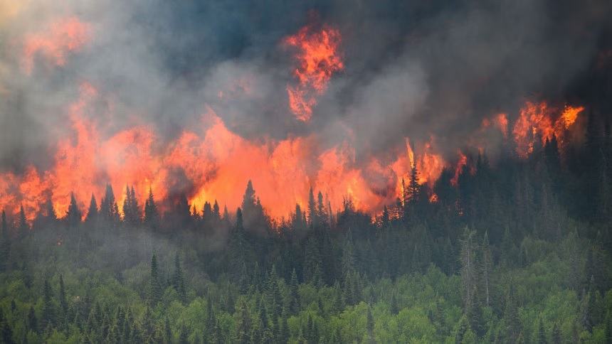 Four firefighters die in road crash after battling Canada wildfires