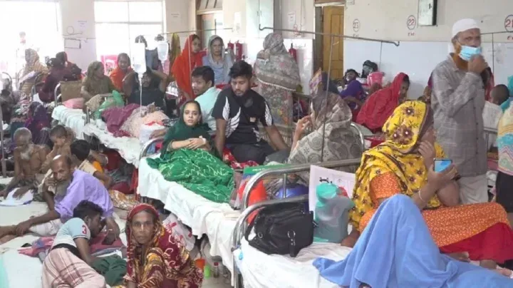বরিশালে ডেঙ্গুর নতুন ভ্যারিয়েন্ট, সুস্থ হলেও শরীরে থেকে যাচ্ছে ভাইরাস
