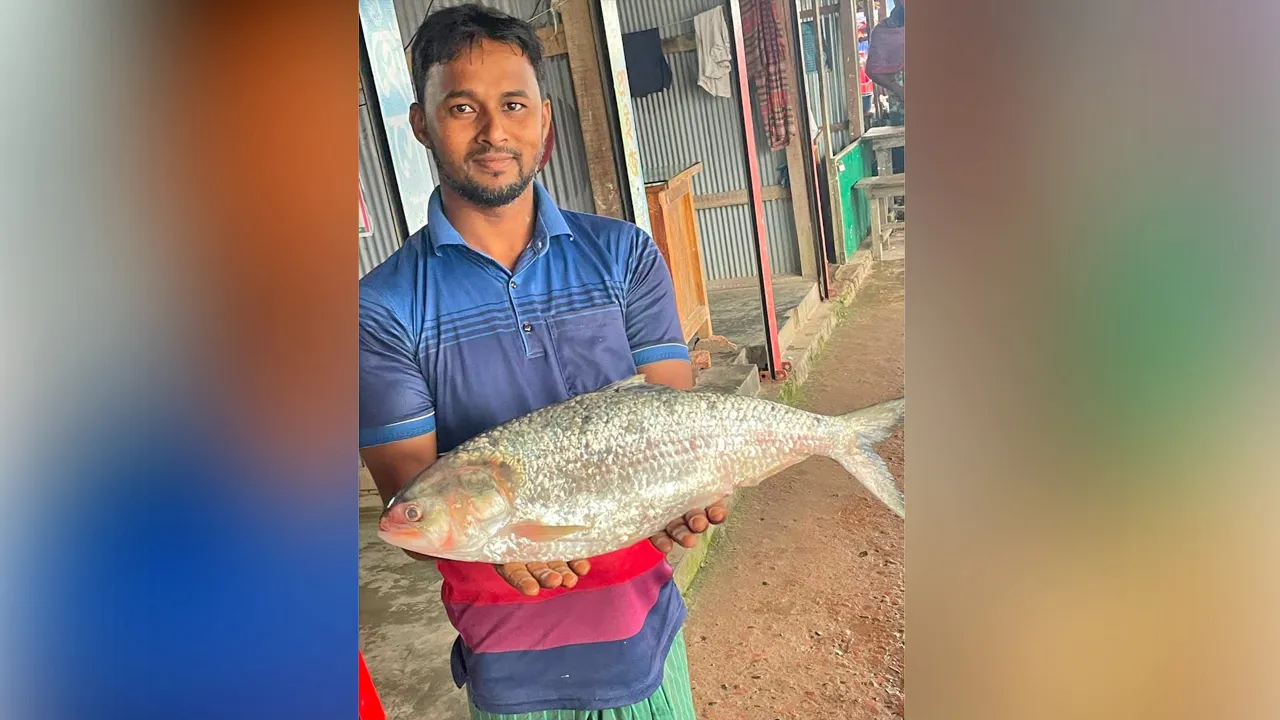 ২ কেজি ৬০০ গ্রামের ইলিশ বিক্রি ১৪ হাজারে