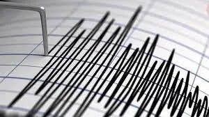 শক্তিশালী ভূমিকম্পে কাঁপল দক্ষিণ আফ্রিকা