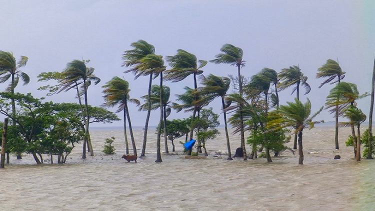 Cyclone Sitrang: 9 dead in differnt places, including 3 of a family