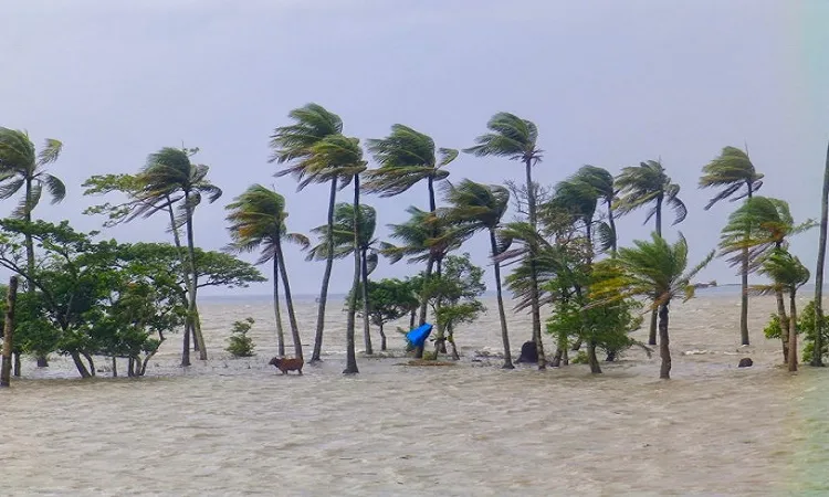 Cyclone Sitrang: 9 dead in differnt places, including 3 of a family
