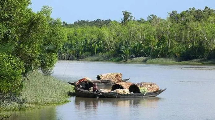 সুন্দরবনে পর্যটকদের প্রবেশে নিষেধাজ্ঞা