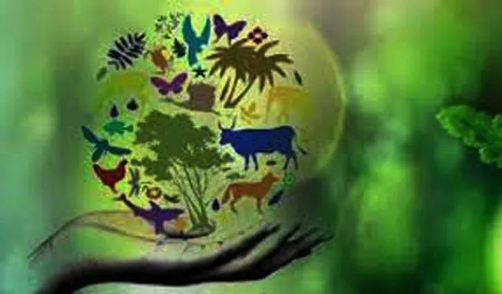 ইতিহাসের এই দিনে : বিশ্ব জীব বৈচিত্র্য দিবস