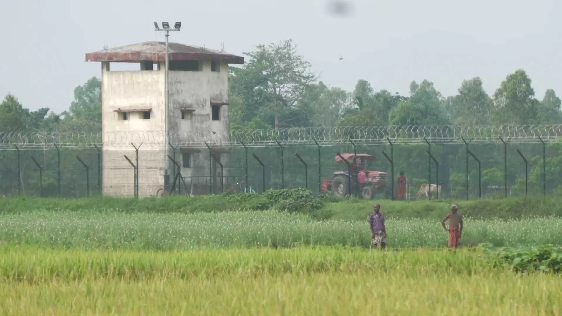 আবারও ১৫ জনকে পুশইন করেছে বিএসএফ