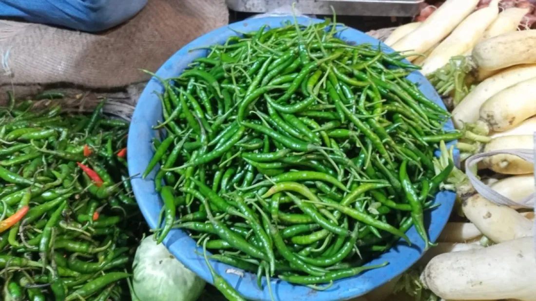 কাঁচা মরিচের কেজিতে ১৬০ টাকা বৃদ্ধি