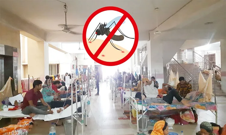 ডেঙ্গুতে ১১ জনের মৃত্যু, হাসপাতালে ভর্তি ২৬৬৩ রোগী
