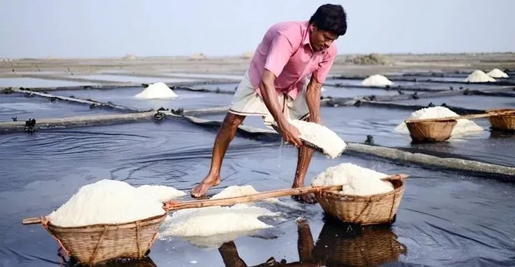 দেশে ৬২ বছরের মধ্যে সবচেয়ে বেশি লবণ উৎপাদন
