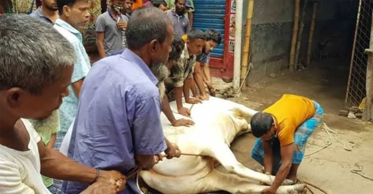 পশু কোরবানি দিচ্ছেন ধর্মপ্রাণ মুসলমানরা