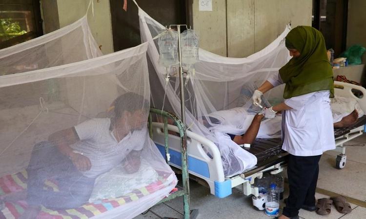 5 dengue patients die, 903 hospitalized in 24 hrs