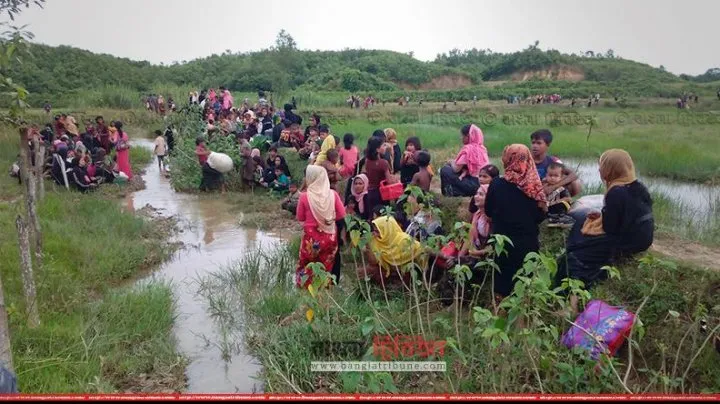 টিআইপি রিপোর্ট: রোহিঙ্গা পাচারে সহায়তায় বিগত সরকারের কর্মকর্তারা