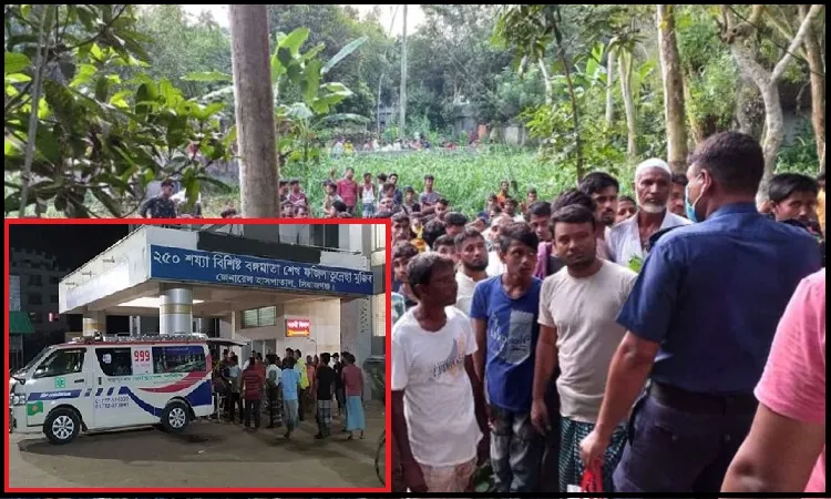 বঙ্গবন্ধু সেতুর রেলিংয়ে মাইক্রোবাসের ধাক্কা, নিহত ৪