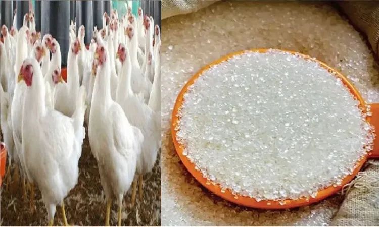 বেড়েছে চিনি-ব্রয়লার মুরগির দাম