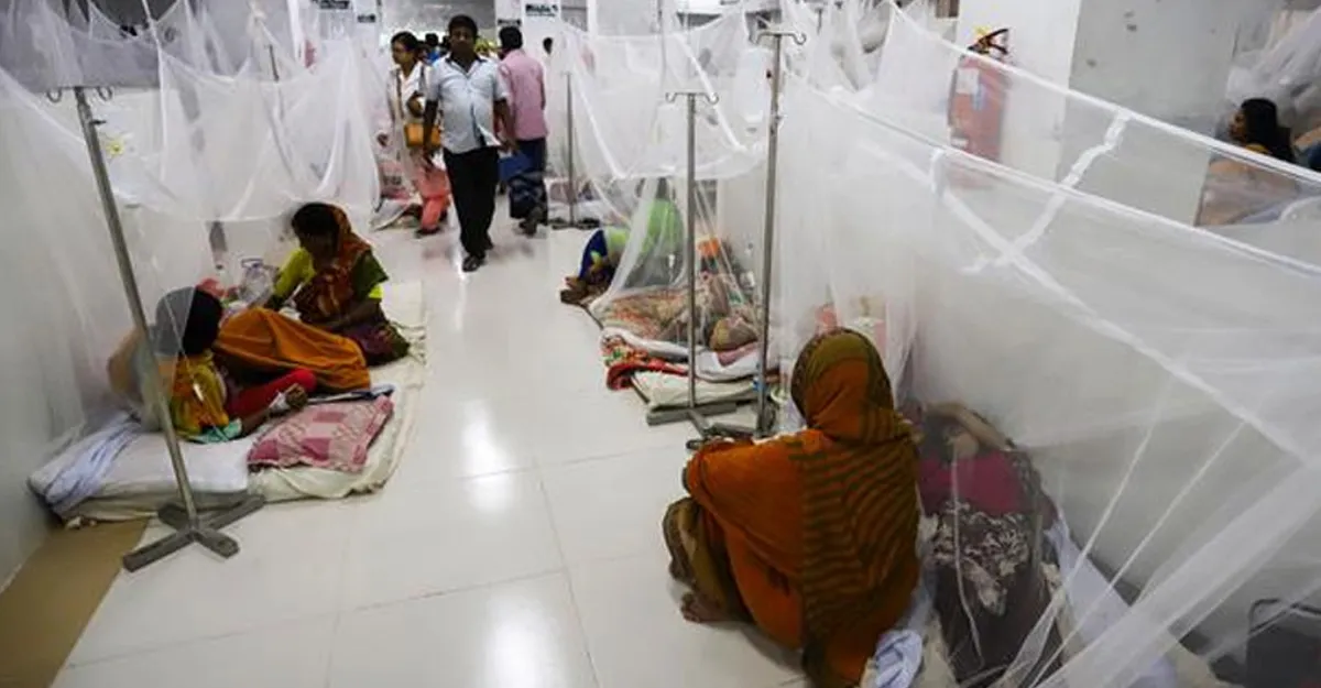 ১২৮ ডেঙ্গু রোগী হাসপাতালে, মৃত্যু ১