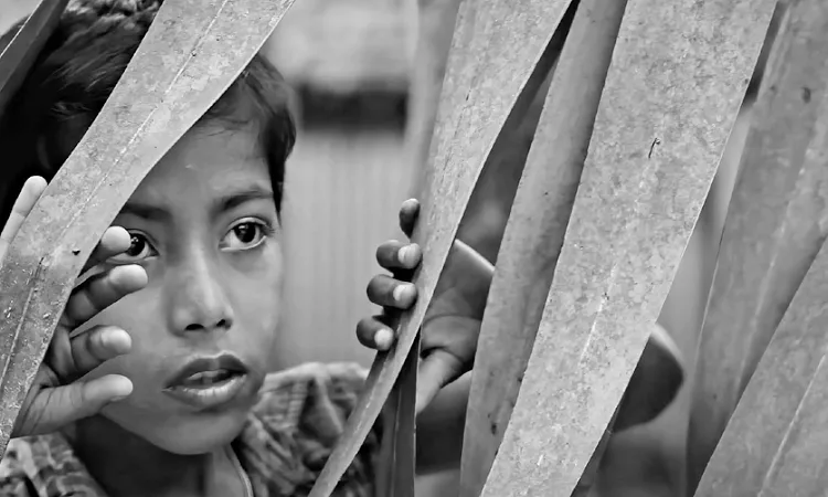 বিনা কর্তনে সেন্সর ছাড়পত্র পেল ‘আম-কাঁঠালের ছুটি’