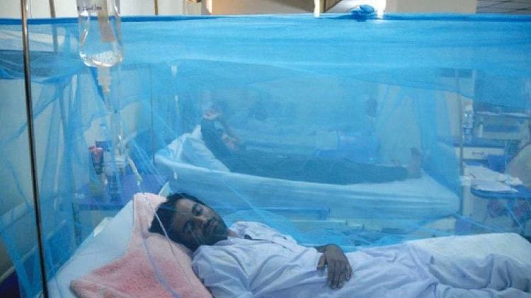 Dengue Fever: 96 new patient hospitalised in 24 hrs in Bangladesh
