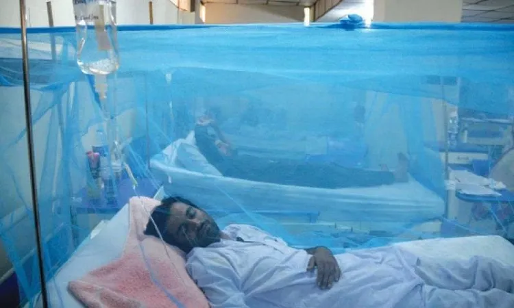 Dengue Fever: 96 new patient hospitalised in 24 hrs in Bangladesh