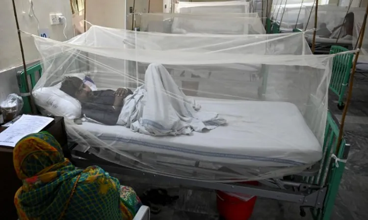 Dengue menace: 1 death, 685 hospitalised in 24hrs