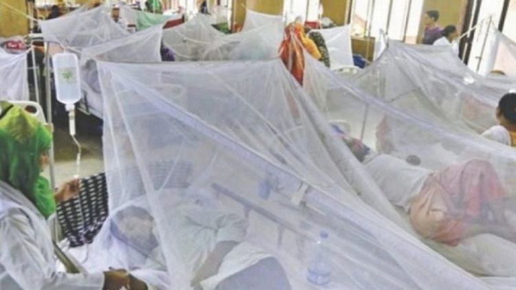 2 more dengue patient die in 24 hrs