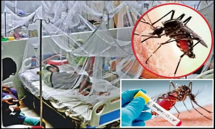 ডেঙ্গুর ভয়াবহতা করোনাকে ছাড়িয়ে যাচ্ছে!