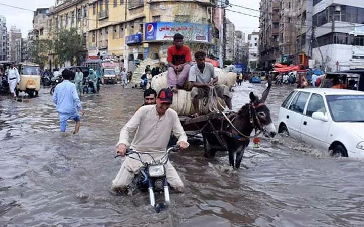 পাকিস্তানে ভারী বৃষ্টিতে ৮৬ জনের প্রাণহানি