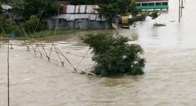 স্রোতে ভেসে যাওয়া মা-ছেলের লাশ উদ্ধার