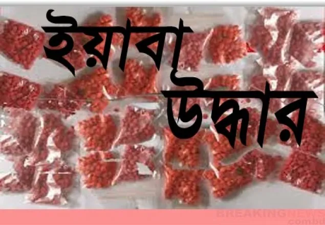 উখিয়ায় সাড়ে ৪ হাজার ইয়াবা উদ্ধার