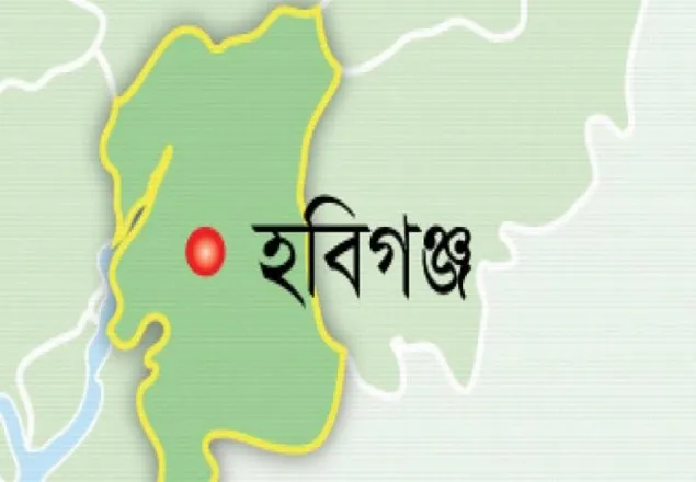 হবিগঞ্জে আ.লীগের দু’গ্রুপের সংঘর্ষ, আহত ১৫
