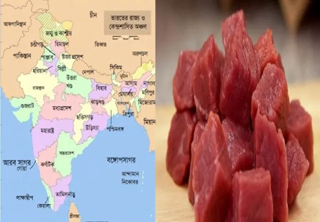 ব্যাগে গরুর গোশত সন্দেহে মুসলিম দম্পতিকে মারধর 