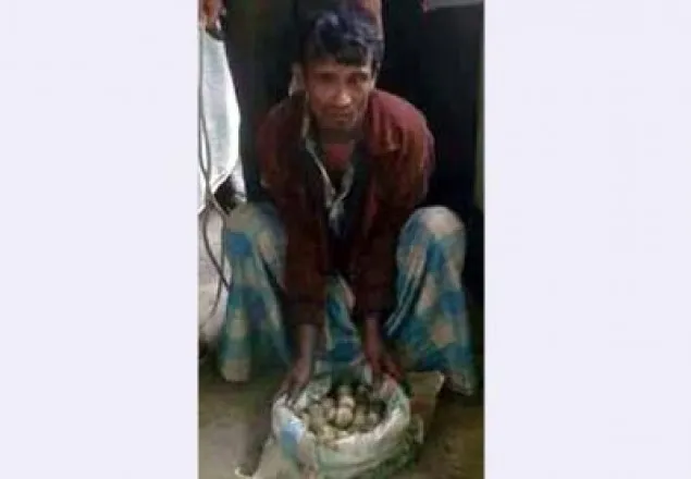 টেকনাফে ১১৭ কাছিমের ডিমসহ আটক ১