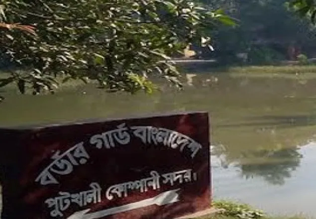 বেনাপোলে ৪০০ বোতল ফেনসিডিল জব্দ