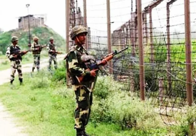 বাংলাদেশিকে পিটিয়ে হত্যা করেছে বিএসএফ