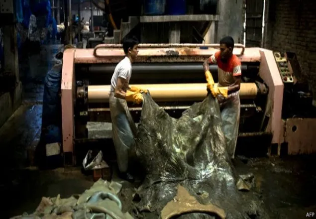 সাভারে না গেলে প্লট বাতিল করুন: পবা