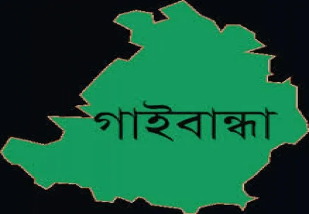 পলাশবাড়ীতে ভেজাল ডিজেল ও মবিলের ছড়াছড়ি   