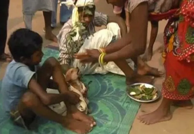 স্ত্রীকে বাঁচাতে কুকুরের সঙ্গে বিয়ে