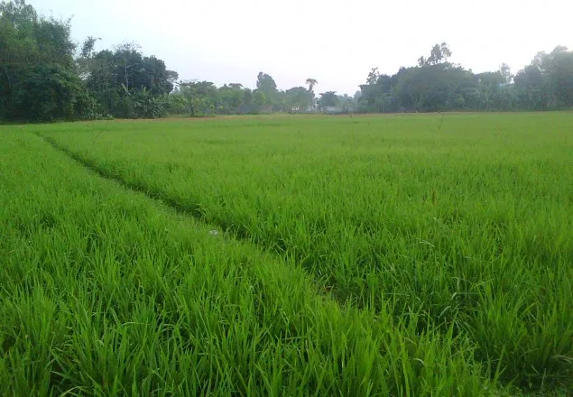বাংলাদেশ কৃষি অর্থনীতিবীদ সমিতির ১৫তম জাতীয় সম্মেলন অনুষ্ঠিত 