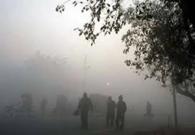 তাইওয়ানে তীব্র শীতে ৬০ জনের মৃত্যু