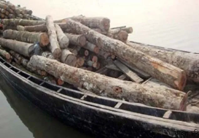 পিরোজপুরে ট্রলার বোঝাই সুন্দরী কাঠসহ আটক ২