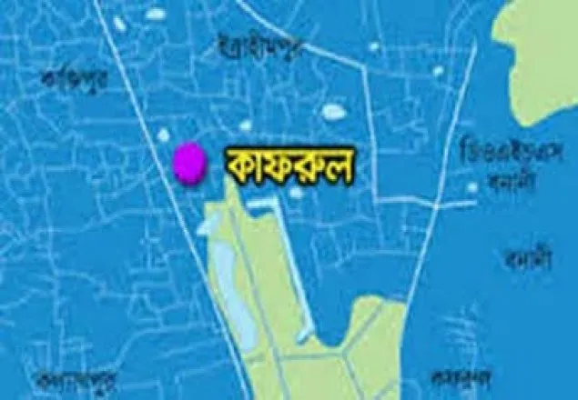 কাফরুলে নির্মাণাধীন ভবন থেকে ইট পড়ে আহত দুই শিশু 