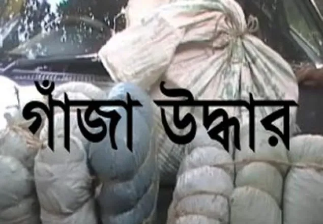 গাজীপুরে ৫০ কেজি গাঁজা উদ্ধার; আটক ২