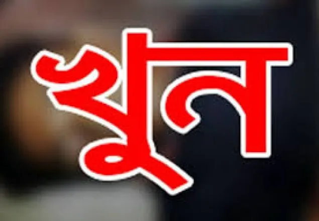 তিন বন্ধূমিলে হত্যা করল কিশোরকে