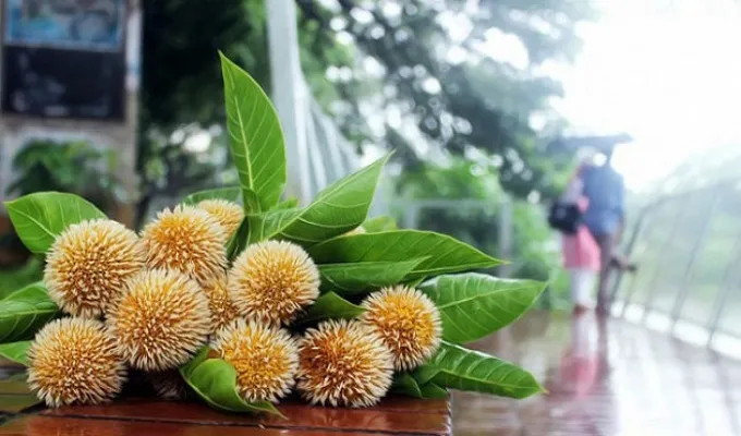 আজ পহেলা আষাঢ়