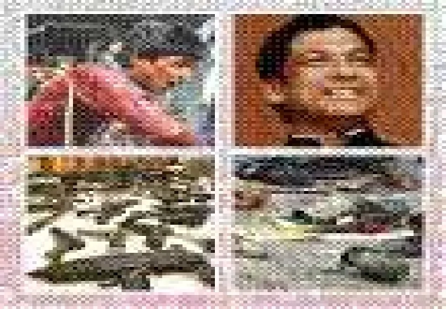 হদিস নেই ২৮ আসামির