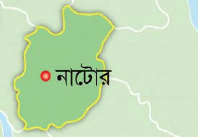 নাটোরে প্রতিমন্ত্রীর বাড়িতে হামলায় যুবলীগকর্মী গ্রেপ্তার