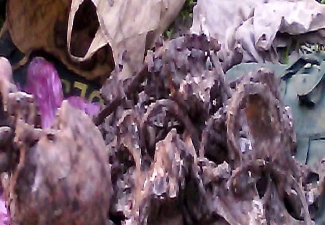 ময়মনসিংহে বস্তাভর্তি কঙ্কাল উদ্ধার