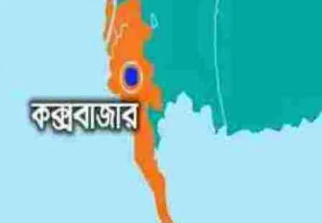 হলুদের ভেতর থেকে ইয়াবা উদ্ধার, আটক ১