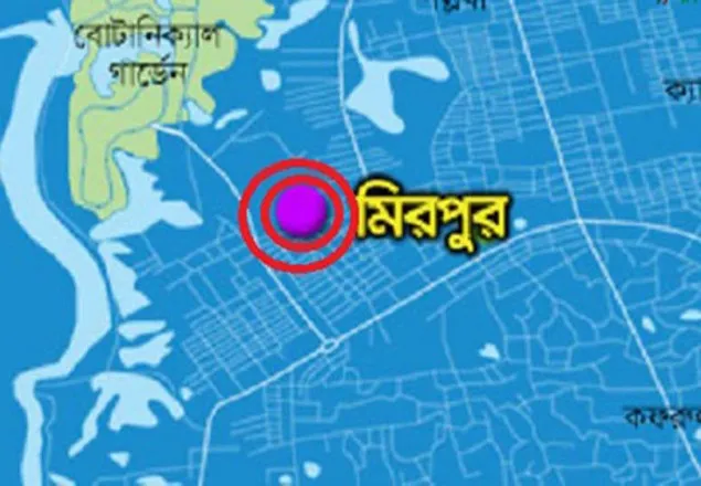 মিরপুরে অগ্নিকাণ্ডে একই পরিবারের ৫জন দগ্ধ