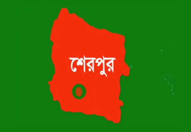 ট্রাক-ট্রলির চাপায় স্কুলছাত্রী নিহত