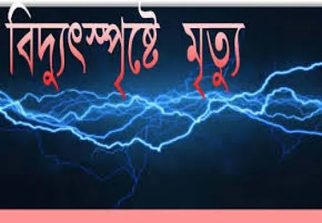 চুয়াডাঙ্গায় বিদ্যুৎস্পৃষ্টে নিহত ১